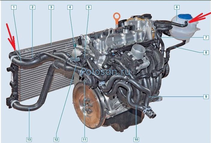 поло течь антифриза под впускным коллектором